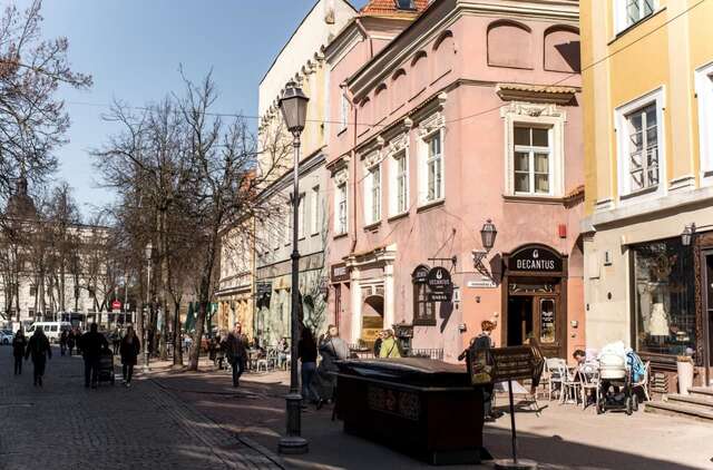 Апартаменты Antique Old Town studio by URBAN RENT Вильнюс-24